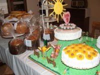 /album/galleria-fotografica/dscf4994-2-jpg/